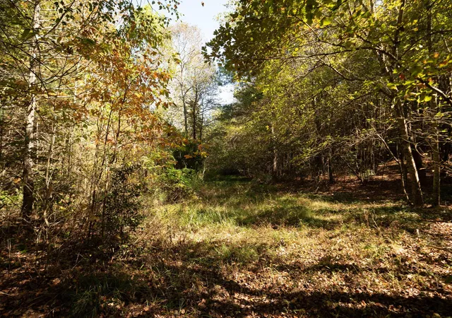 Homes for sale in Copperhill, TN | 227 Mcallister Road, Copperhill, TN 37317 | MLS# 3269784