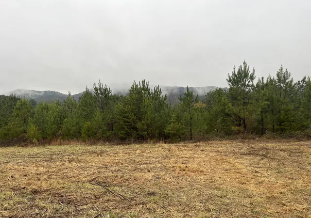 Homes for sale in Copperhill, TN | 227 Mcallister Road, Copperhill, TN 37317 | MLS# 3269784