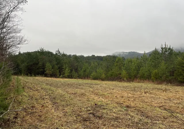Homes for sale in Copperhill, TN | 227 Mcallister Road, Copperhill, TN 37317 | MLS# 3269784