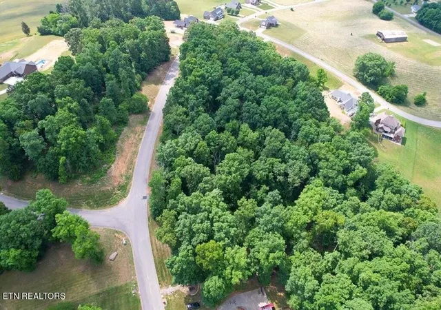 Homes for sale in Russellville, TN | 1955 Turner Landing Rd, Russellville, TN 37860 | MLS# 3128136