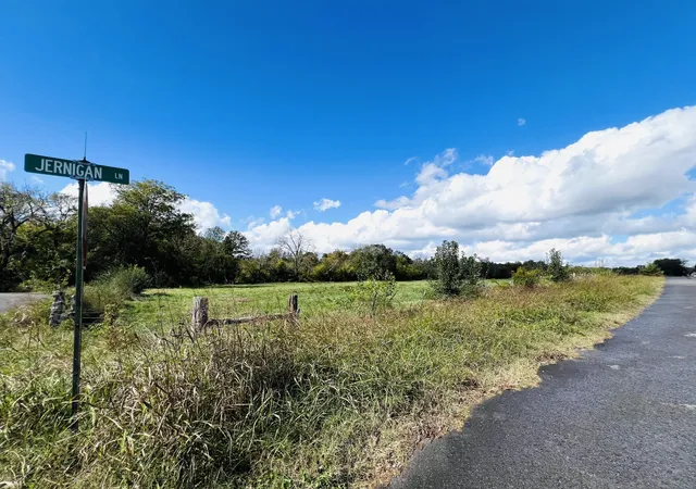 4th image of 0 Bell Buckle Wartrace Rd, Wartrace, TN 37183 | MLS# 3031284