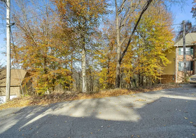 5th image of 165 Overlook Ct, Kingston Springs, TN 37082 | MLS# 3031668