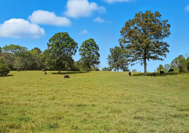 1st image of 1 Smithville Hwy, Sparta, TN 38583 | MLS# 3032367