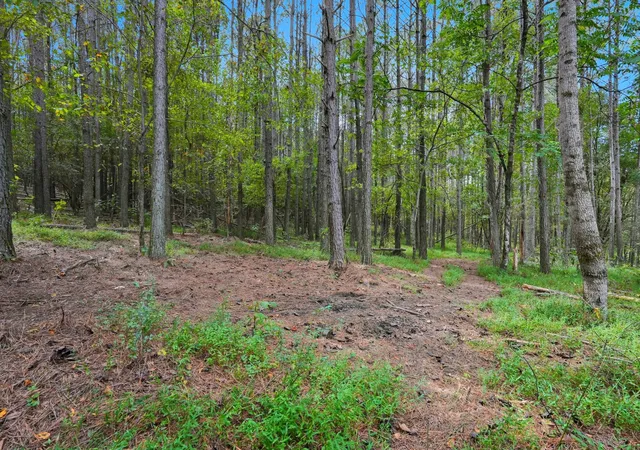 30th image of 0 Liberty Road, Sparta, TN 38583 | MLS# 3032371
