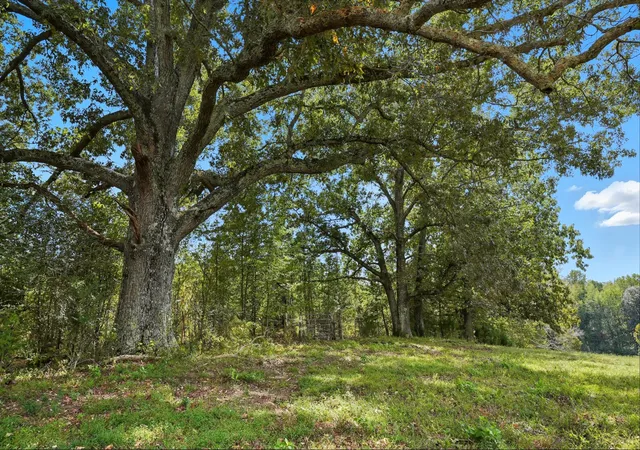 Photo 4 of House for sale at 0 Liberty Rd, Sparta, TN 38583 | MLS# 3032371 | Listing updated on 2025-10-23