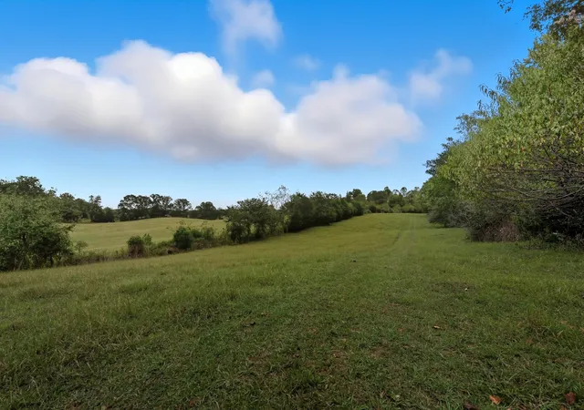 4th image of 0 Jenkins Road, Sparta, TN 38583 | MLS# 3032374