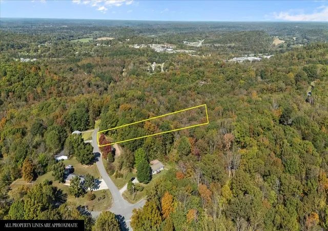 Homes for sale in Kingston Springs, TN | 1006 Crestview Ct, Kingston Springs, TN 37082 | MLS# 3033306
