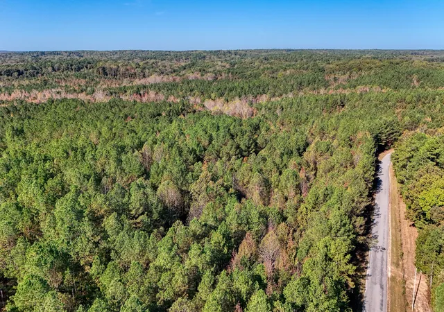 Photo 1 of Land for sale at 0 Cavia Rd, Westport, TN 38387 | MLS# 3033068 | Listing updated on 2026-09-29