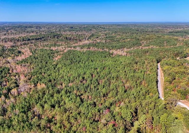 Photo 3 of Land for sale at 0 Cavia Rd, Westport, TN 38387 | MLS# 3033068 | Listing updated on 2026-09-29