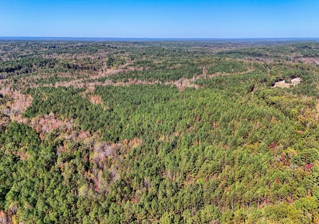 Photo 3 of Land for sale at 0 Cavia Rd, Westport, TN 38387 | MLS# 3033068 | Listing updated on 2026-09-29