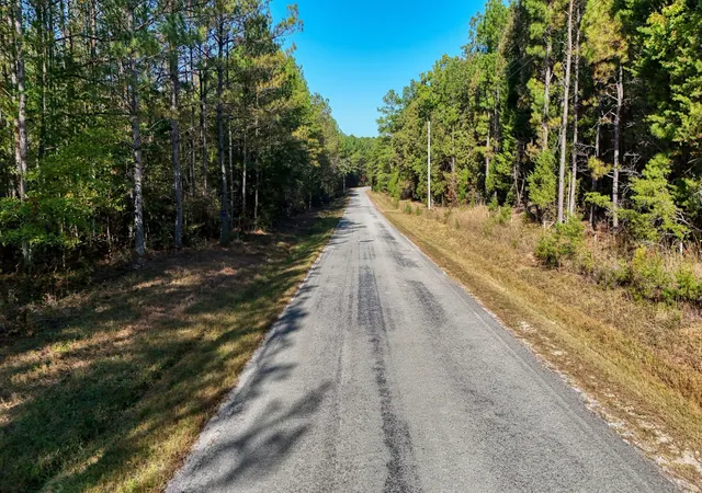 Photo 4 of Land for sale at 0 Cavia Rd, Westport, TN 38387 | MLS# 3033068 | Listing updated on 2026-09-29