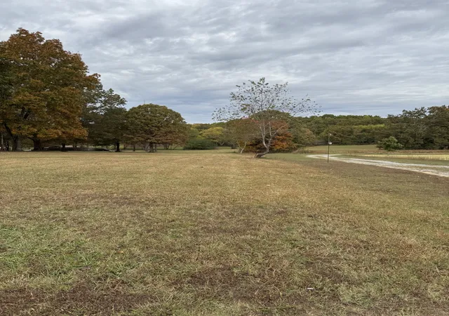 5th image of 7204 Sweetbriar Ln, Fairview, TN 37062 | MLS# 3033550