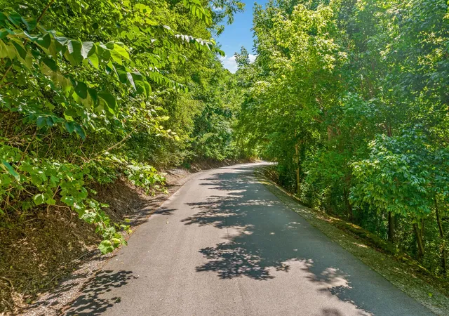 Photo 3 of Land for sale at 2 Shoreside Dr, Smithville, TN 37166 | MLS# 3033669 | Listing updated on 2026-03-25