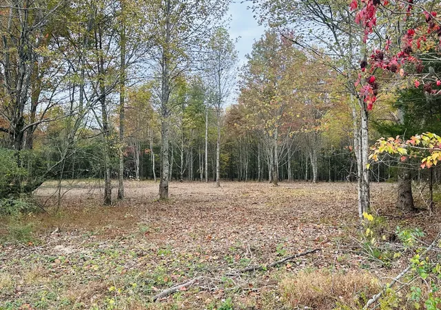 4th image of 0 Johnson Rd, Westmoreland, TN 37186 | MLS# 3033684
