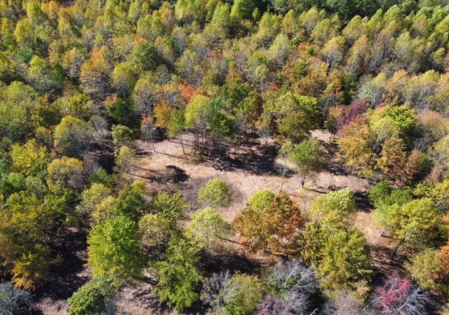 6th image of 0 Johnson Rd, Westmoreland, TN 37186 | MLS# 3033684