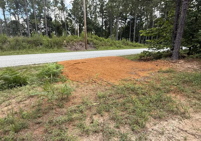 Photo 2 of Land for sale at 5608 Old Hohenwald Rd, Linden, TN 37096 | MLS# 3034022 | Listing updated on 2026-07-27