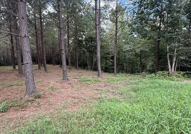 Photo 3 of Land for sale at 5608 Old Hohenwald Rd, Linden, TN 37096 | MLS# 3034022 | Listing updated on 2026-07-27