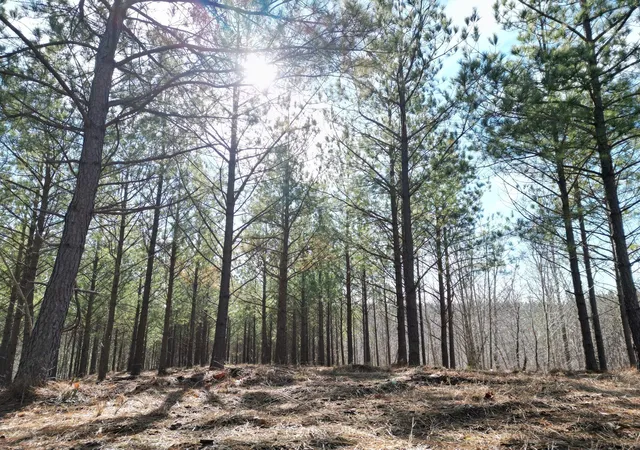 Photo 1 of Land for sale at 5608 Old Hohenwald Rd, Linden, TN 37096 | MLS# 3034022 | Listing updated on 2026-07-27