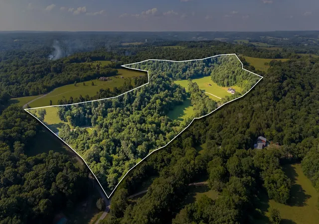Homes for sale in Lynnville, TN | 564 Mt Olive Cemetery Rd, Lynnville, TN 38472 | MLS# 3072740