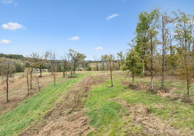 Photo 4 of House for sale at 0 Coop Rd, Bell Buckle, TN 37020 | MLS# 3042210 | Listing updated on 2026-08-20