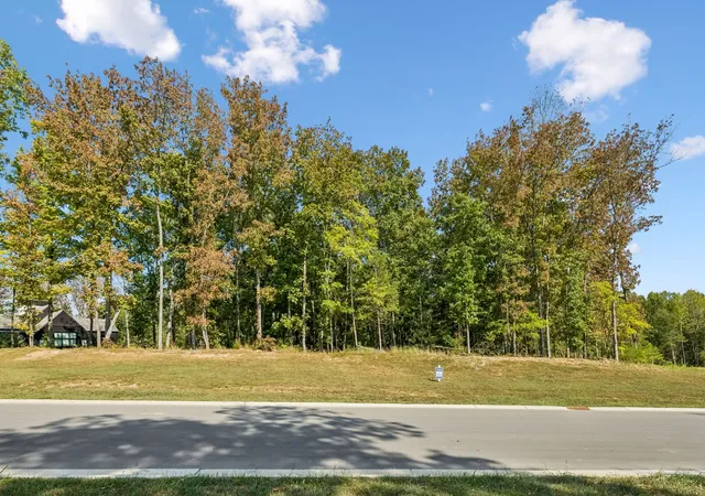 Photo 3 of Land for sale at 9211 Troubadour Dr, College Grove, TN 37046 | MLS# 3035420 | Listing updated on 2026-09-23