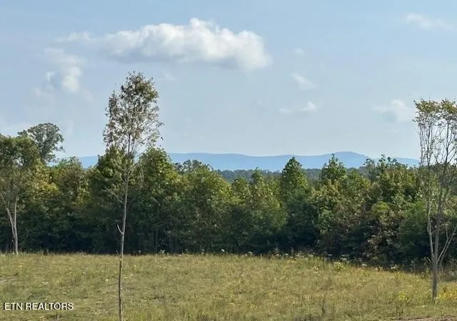 2nd image of 0 Otis Daivs Rd, Pikeville, TN 37367 | MLS# 3035309