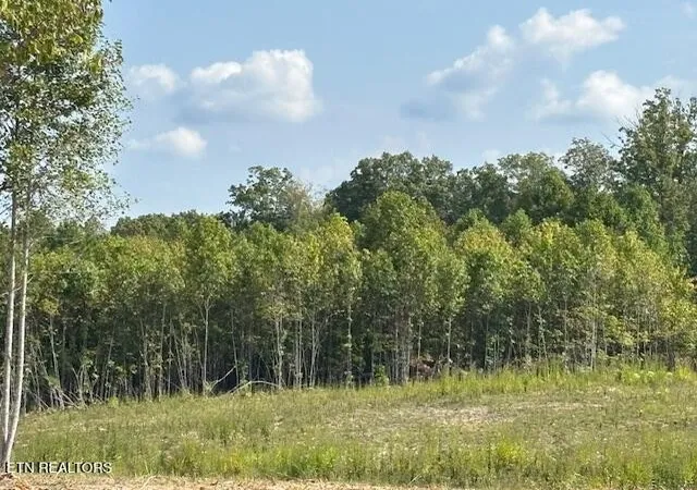 3rd image of 0 Otis Daivs Rd, Pikeville, TN 37367 | MLS# 3035309
