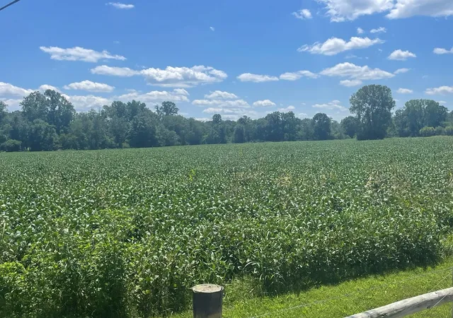 Photo 3 of Land for sale at 0 Ditty Road, Cookeville, TN 38506 | MLS# 3036134 | Listing updated on 2025-10-31