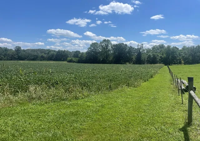 4th image of 0 Ditty Road, Cookeville, TN 38506 | MLS# 3036134