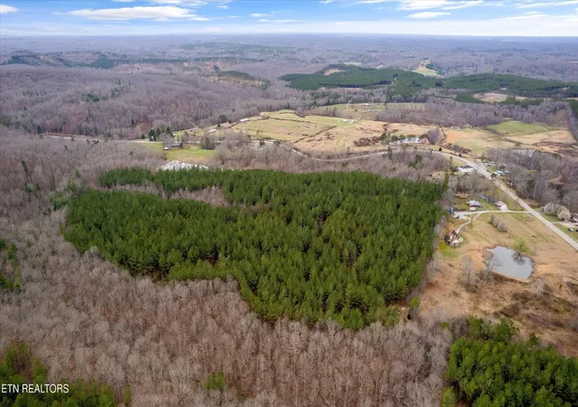 16th image of 0 Morgan Co Hwy, Sunbright, TN 37872 | MLS# 3304476