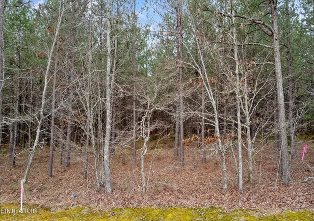 4th image of 0 Morgan Co Hwy, Sunbright, TN 37872 | MLS# 3304476