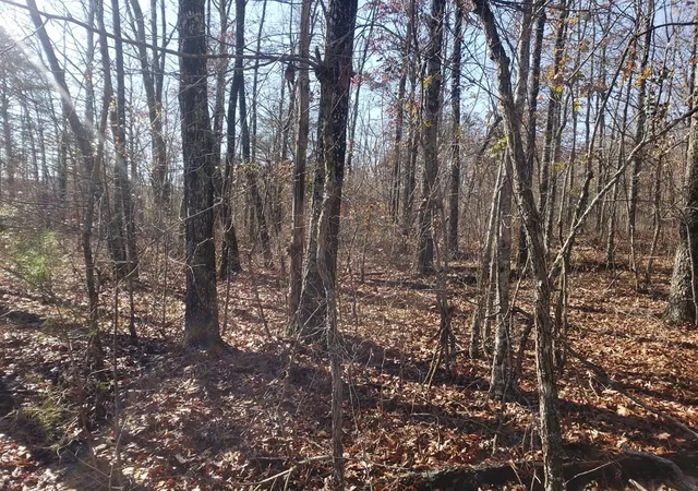 Photo 3 of Land for sale at 44 Hemlock Ln, Spencer, TN 38585 | MLS# 3036041 | Listing updated on 2026-10-08
