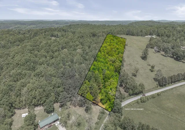Homes for sale in Riceville, TN | 0 County Road 62, Riceville, TN 37370 | MLS# 3244241