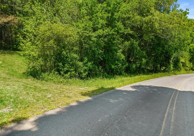 Homes for sale in Riceville, TN | 0 County Road 62, Riceville, TN 37370 | MLS# 3244241
