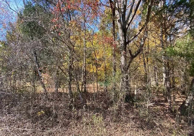 Homes for sale in Riceville, TN | 0 County Road 62, Riceville, TN 37370 | MLS# 3244241