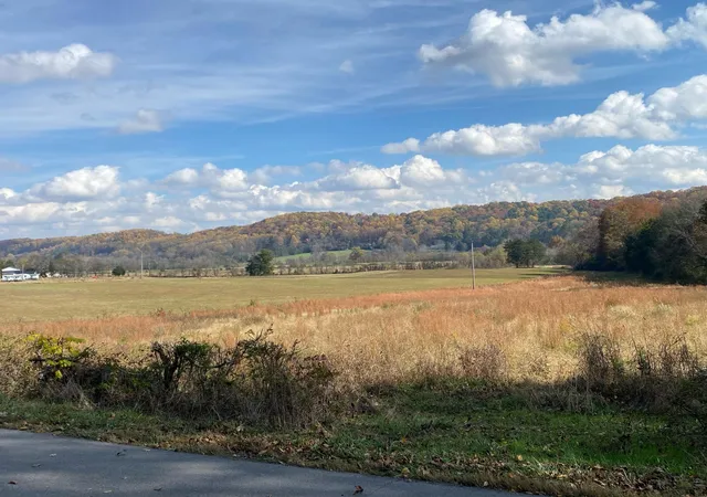 Homes for sale in Riceville, TN | 0 County Road 62, Riceville, TN 37370 | MLS# 3244241