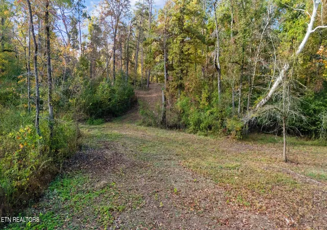 Photo 3 of Land for sale at 209 Ridge Rd, Maryville, TN 37803 | MLS# 3185469 | Listing updated on 2026-09-21