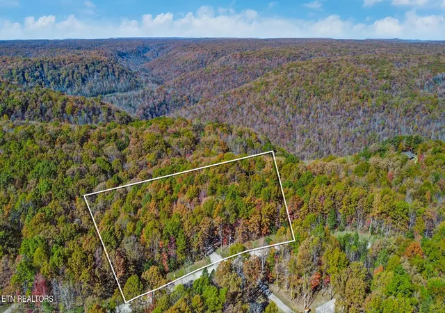 Homes for sale in Wilder, TN | 295 Big Piney Loop, Wilder, TN 38589 | MLS# 3038671