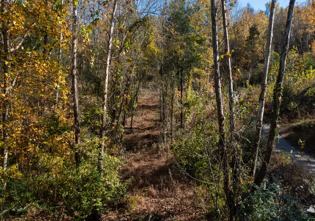 Photo 2 of Land for sale at 151 Angels Cvs Ln, Lebanon, TN 37087 | MLS# 3042268 | Listing updated on 2026-09-15