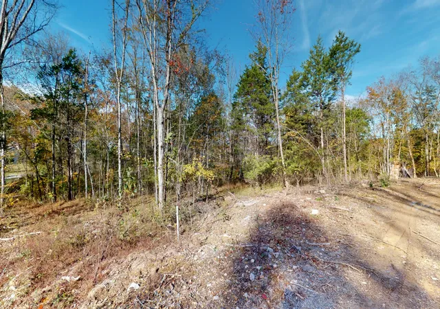 Photo 3 of Land for sale at 151 Angels Cvs Ln, Lebanon, TN 37087 | MLS# 3042268 | Listing updated on 2026-09-15