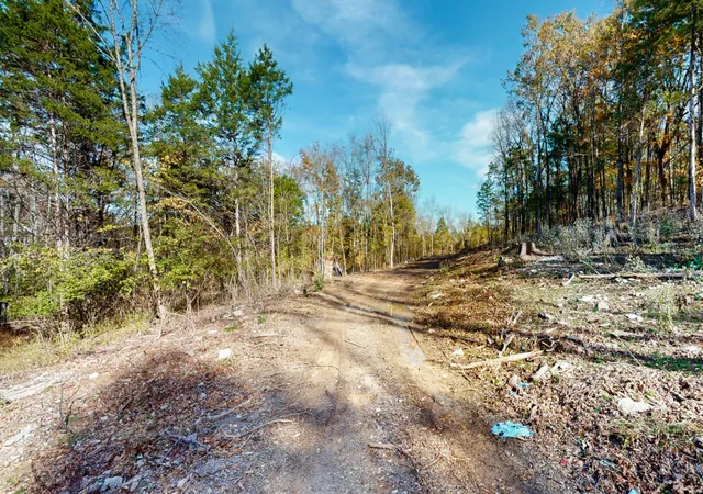 Photo 4 of Land for sale at 151 Angels Cvs Ln, Lebanon, TN 37087 | MLS# 3042268 | Listing updated on 2026-09-15