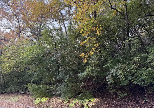 1st image of 1332 Oakleigh Hill Dr, Nashville, TN 37215 | MLS# 3039010