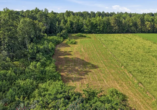 15th image of 0 Ledford Mill Rd, Normandy, TN 37360 | MLS# 3246483