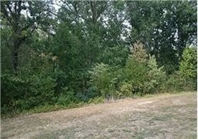 Homes for sale in Lyles, TN | 0 Oak Hill Road, Lyles, TN 37098 | MLS# 3039586