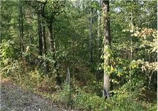 Homes for sale in Lyles, TN | 0 Oak Hill Road, Lyles, TN 37098 | MLS# 3039586