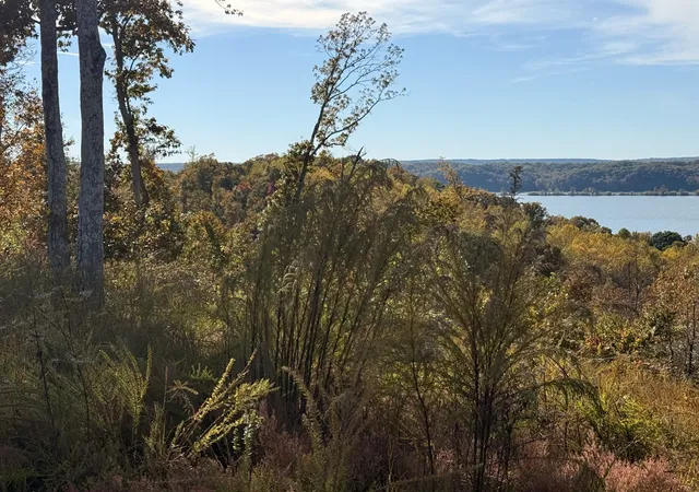 Photo 2 of Land for sale at 54 Ridge Top Rd, Stewart, TN 37175 | MLS# 3039841 | Listing updated on 2025-11-05