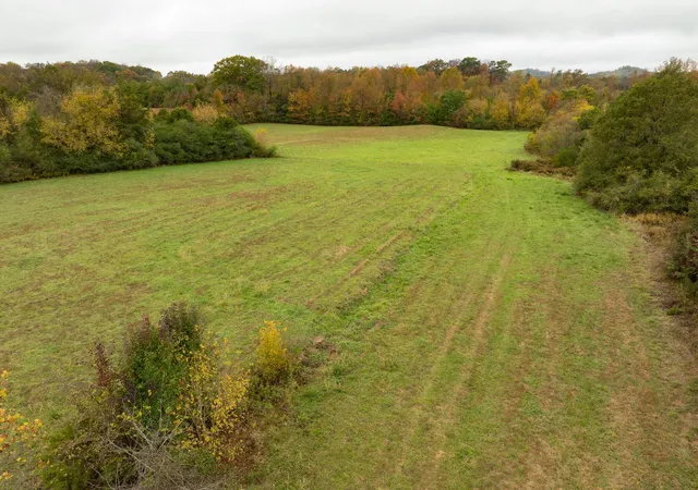 54th image of 162164 County Road 635, Athens, TN 37303 | MLS# 3039919