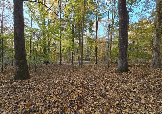 Homes for sale in Cadiz, KY | 14 Rockcastle Shores, Cadiz, KY 42211 | MLS# 3045715