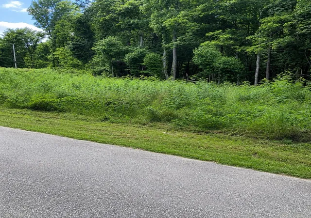 1st image of 0 Chandler Rd, Woodlawn, TN 37191 | MLS# 3045151