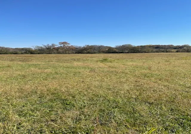 Photo 3 of Land for sale at 0 Old Nashville Dirt Rd, Shelbyville, TN 37160 | MLS# 3042156 | Listing updated on 2026-09-01